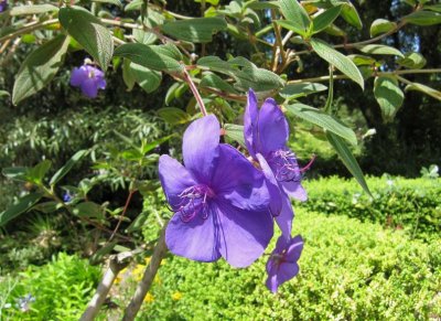 Img_2074D.jpg