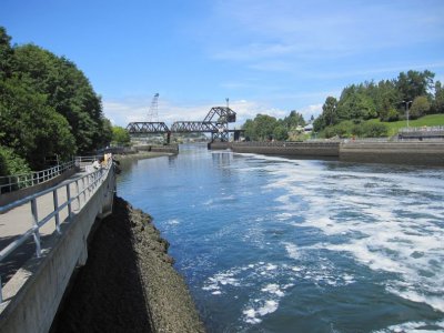 Img_2065D.jpg