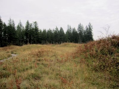 g1/95/780595/3/129463565.RxcQyGHv.jpg