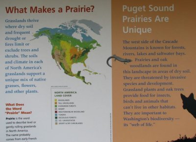 What makes a Prairie