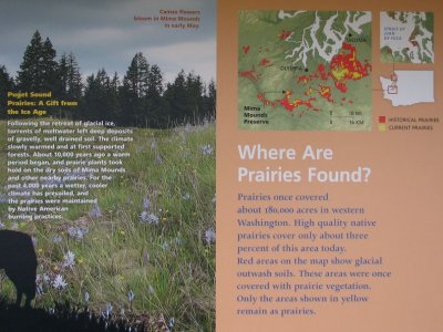 What makes a Prairie