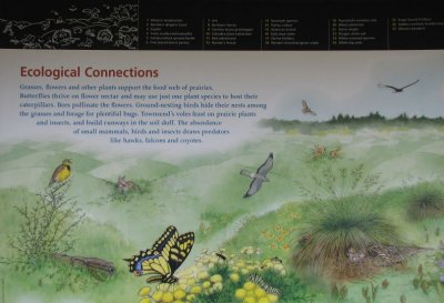 Ecological Connections