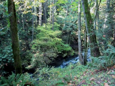 Whatcom Falls