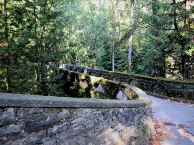 Whatcom Falls