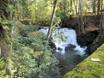 Whatcom Falls