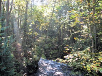 Whatcom Falls
