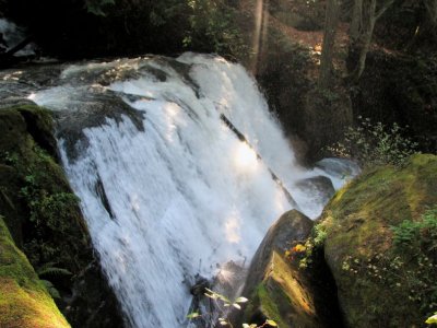 Whatcom Falls