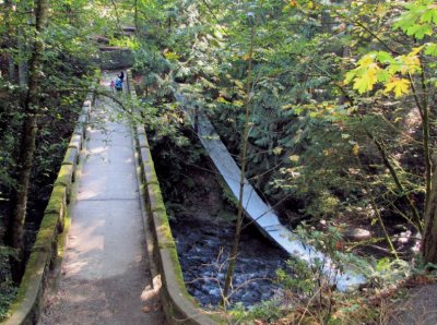 Whatcom Falls