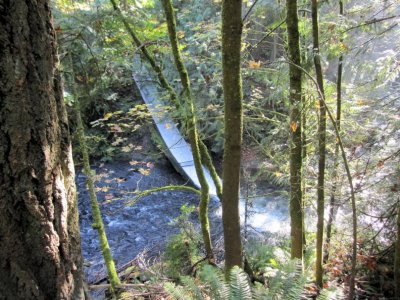 Whatcom Falls
