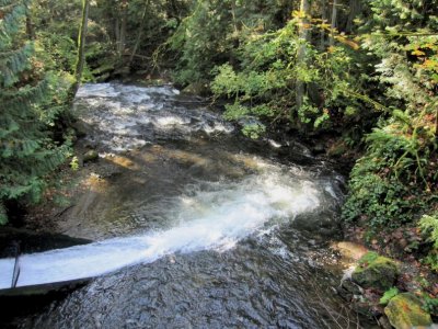 Whatcom Falls