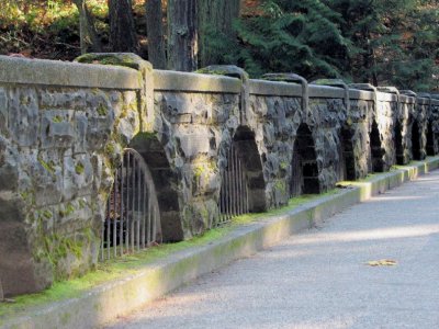 Whatcom Falls