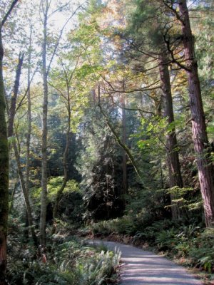 Whatcom Falls
