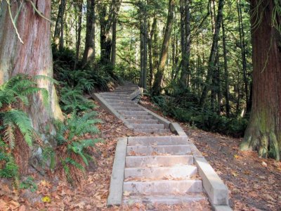 Whatcom Falls