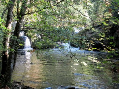 Whatcom Falls