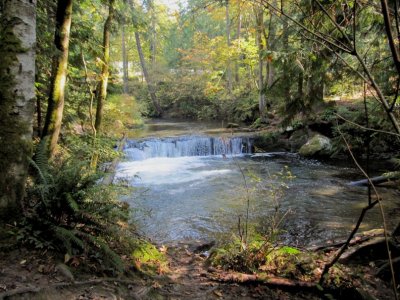 Whatcom Falls