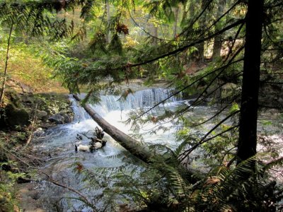 Whatcom Falls