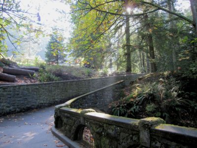 Whatcom Falls