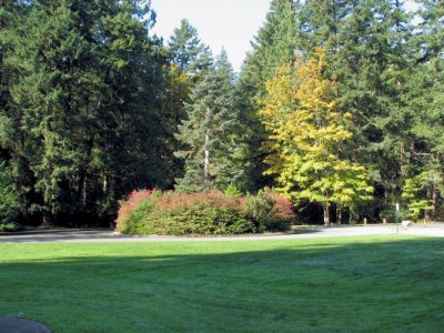 Bellingham Trout Hatchery