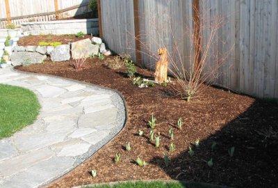 Tulips and Bear.jpg