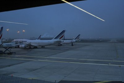 Paris and Sao Paulo (end of 2008)