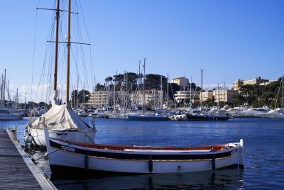 _DSC8612.jpg