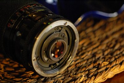 _DSC8805.jpg