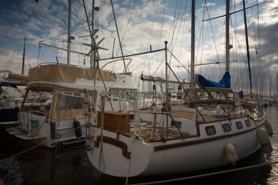 IMG_0737.jpg