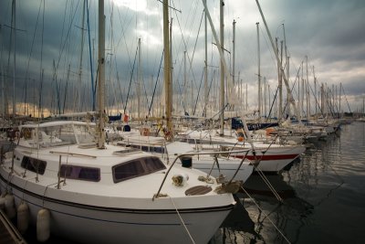 IMG_0790.jpg
