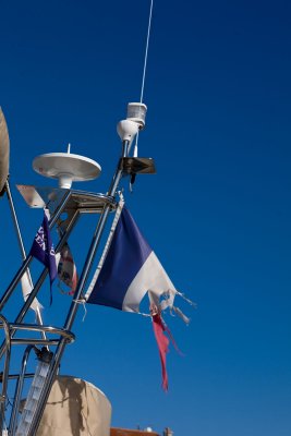 IMG_1169.jpg