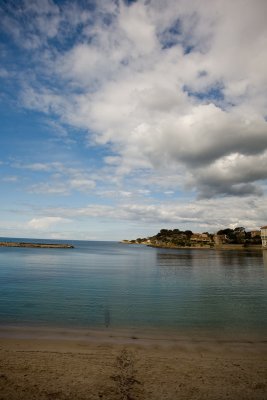 IMG_3924.jpg