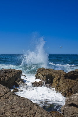 IMG_6769.jpg