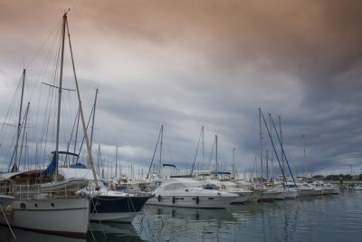 IMG_7127.jpg