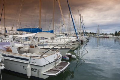 IMG_7151.jpg