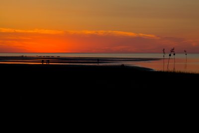 IMG_1637-1.jpg