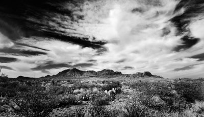 _MG_1403 B&W-2_2.jpg
