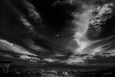 _MG_2428 B&W.jpg
