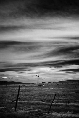_MG_3840 B&W.jpg