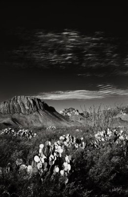 b _MG_1695 B&W.jpg