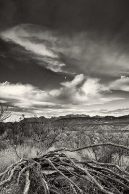 b _MG_1866 B&W.jpg