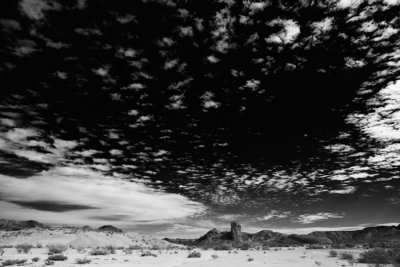 b _MG_3704 B&W.jpg