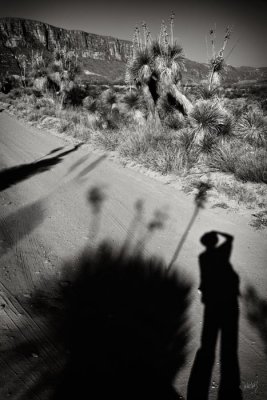 b_MG_1521 B&W.jpg
