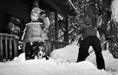 _MG_6598 copy.jpg
