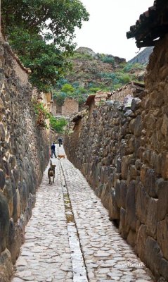 _MG_7347.jpg