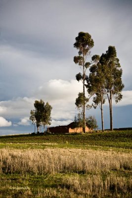 _MG_9230.jpg