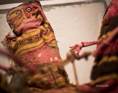 _MG_6182.jpg