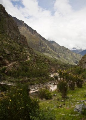 _MG_7902.jpg