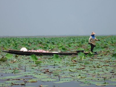 Thailand 2010