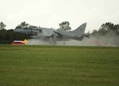 Harrier on landing