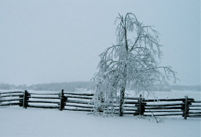 Lhiver a Kamouraska