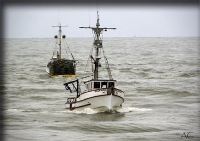 g1/95/964795/3/131026070.K6e3U5aG.jpg